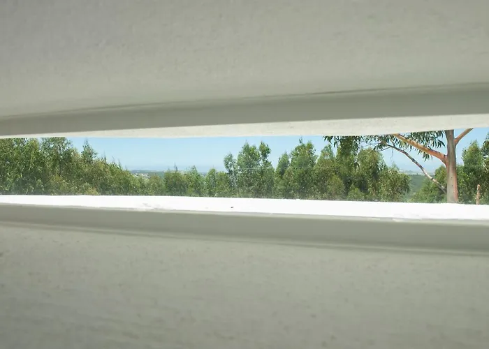 Bee Moinho Sobral da Abelheira